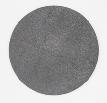 Load image into Gallery viewer, 10&quot; 280Grit Resin Diamond Smoothing Pre-polishing Pad
